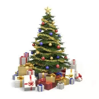 Les chiens et les chats aussi ont le droit à Noël