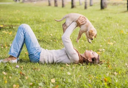 Les chiens et les chats touchés par la solitude