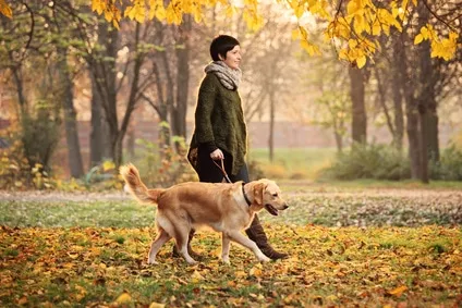 Un site de rencontres pour les passionnés d’animaux ?