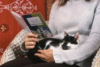 Bien comprendre les assurances animaux