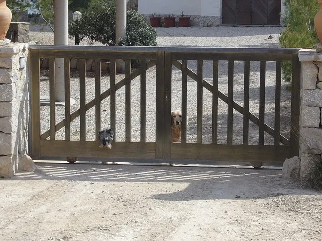 De moins en moins de chiens dans les grandes villes