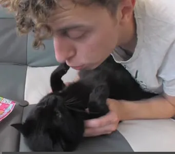 Video norman – avoir un chat