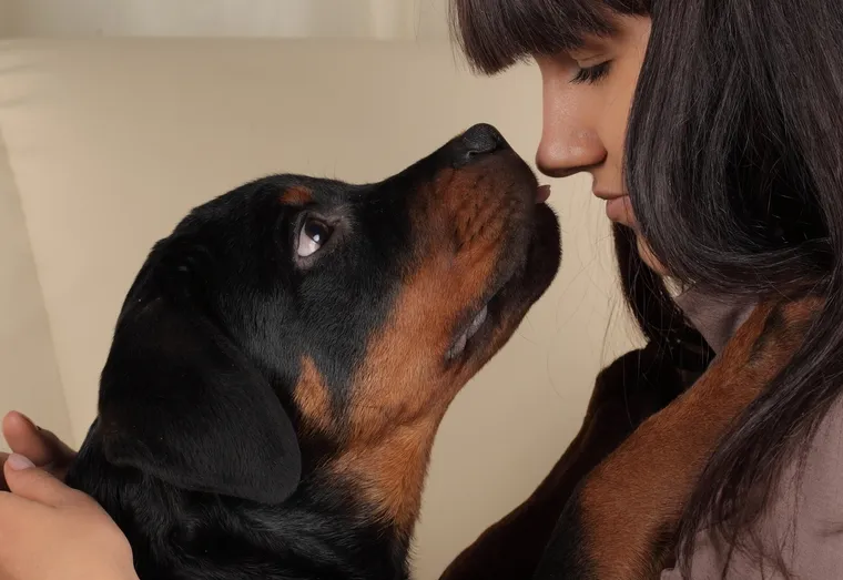Pourquoi prendre une assurance pour un chien ?