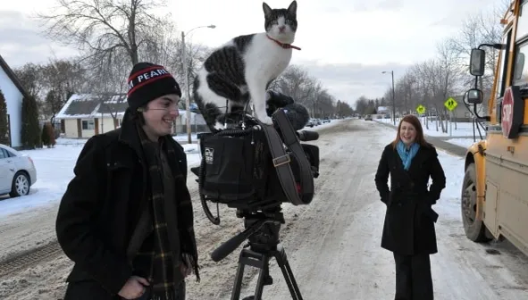 Reportage à Bonnyville : un chat s’invite… sur la caméra