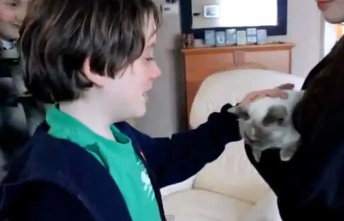 Une belle histoire entre ce chat et les enfants