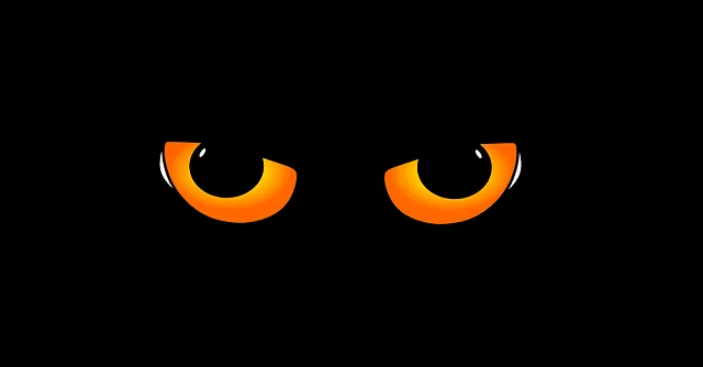 Les yeux des chats brillent dans la nuit, pourquoi ?