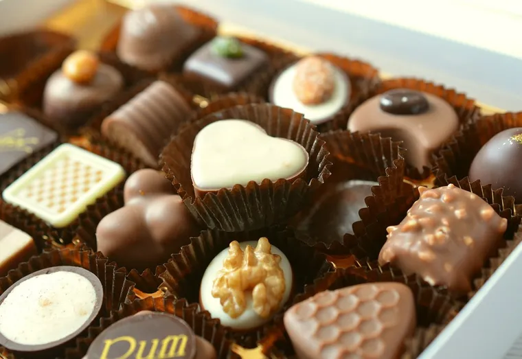 Faut-il donner du chocolat à son chien ou à son chat ?