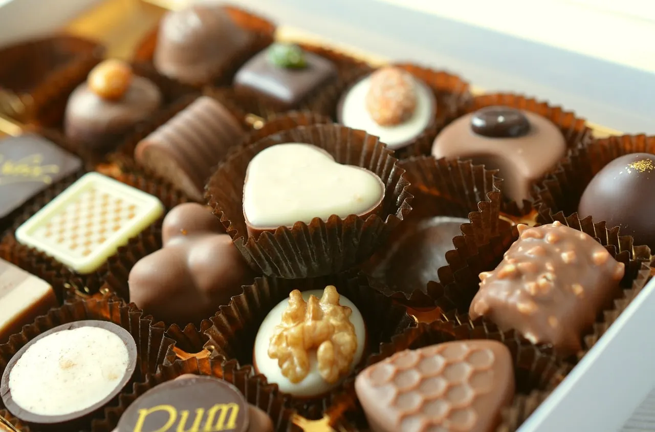 Faut-il donner du chocolat à son chien ou à son chat ?