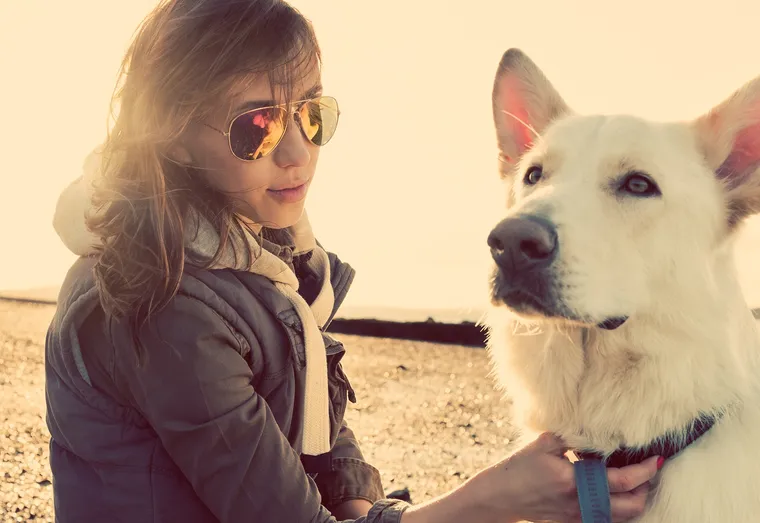 Intérêt de la promenade pour nos amis les chiens