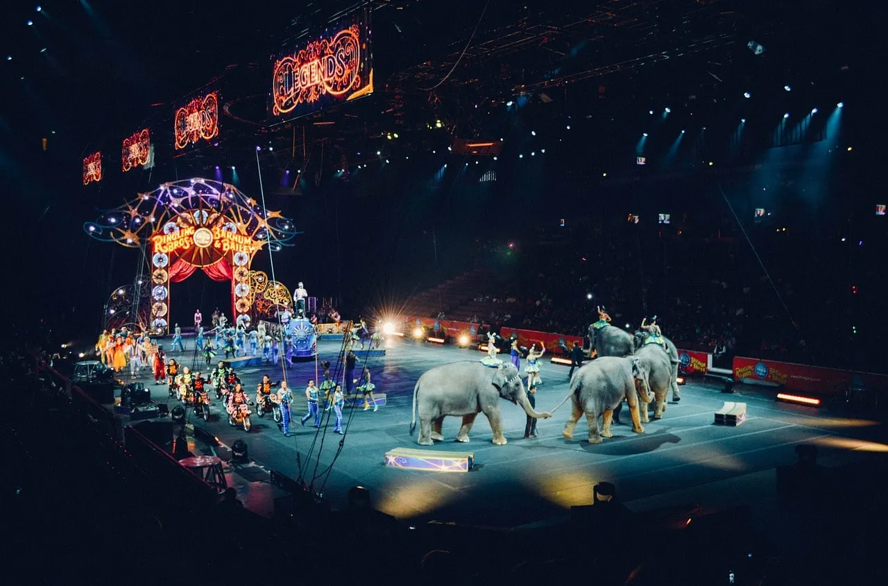 Les animaux sauvages interdits dans les cirques catalans
