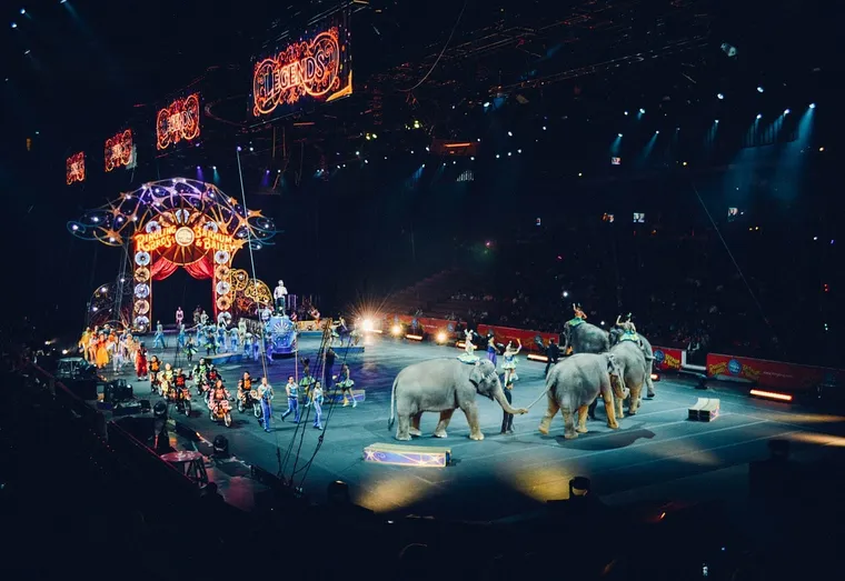 Les animaux sauvages interdits dans les cirques catalans