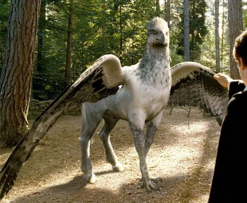 Un film sur les animaux fantastiques de l’univers d’Harry Potter