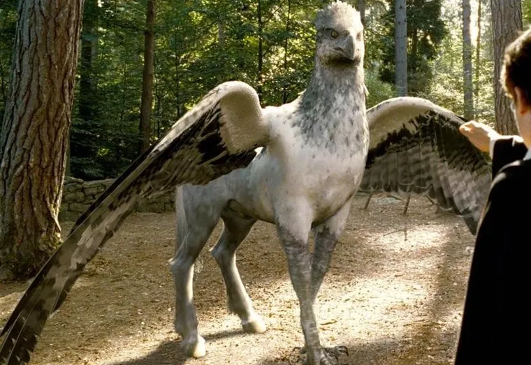 Un film sur les animaux fantastiques de l’univers d’Harry Potter