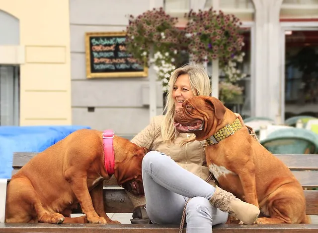 Les villes françaises les plus accueillantes pour les chiens