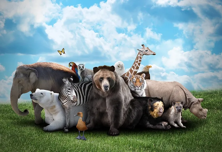 Zootopia : l’avenir des zoos ?