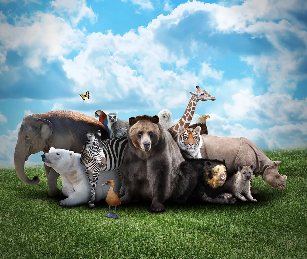Zootopia : l’avenir des zoos ?