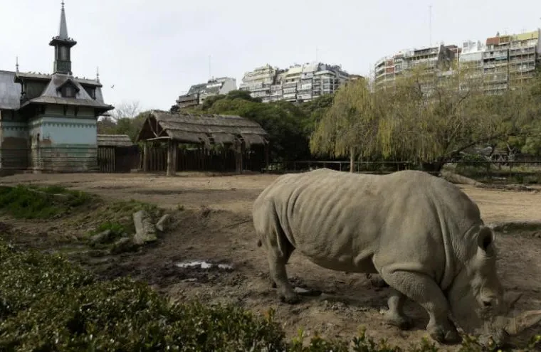 Le zoo de Buenos Aires ferme ses portes