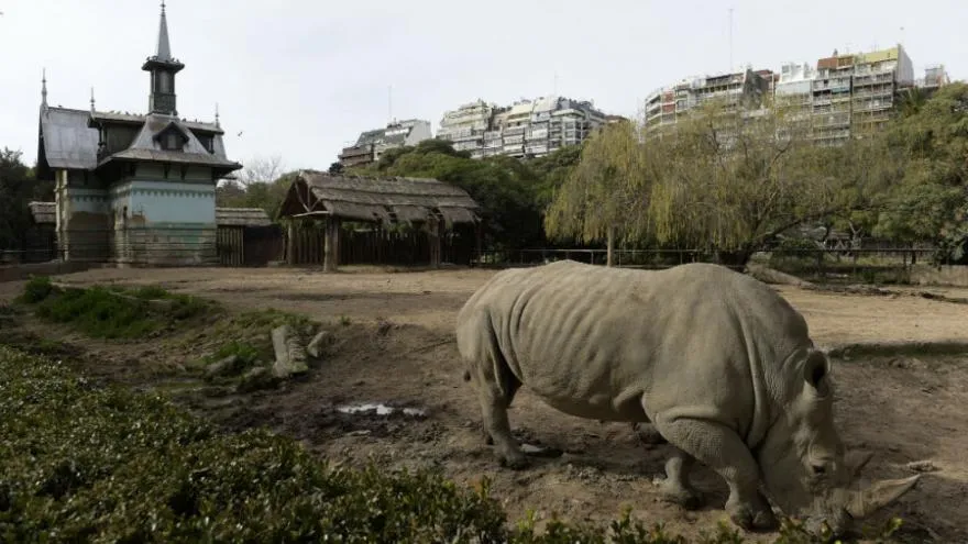 Le zoo de Buenos Aires ferme ses portes