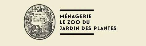 Les nouvelles naissances ne s’arrêtent plus depuis le début de l’année à la Ménagerie du jardin des Plantes