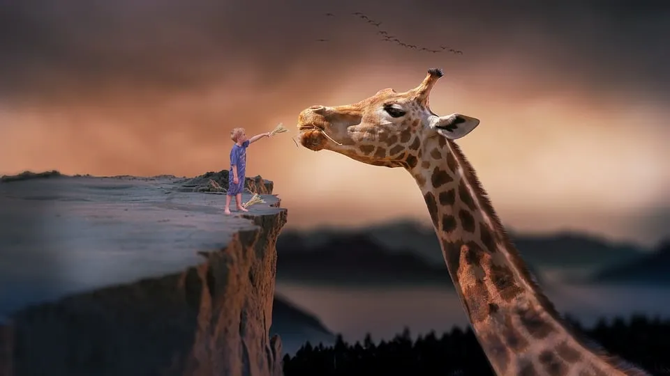 Savez-vous pourquoi les girafes ont un long cou ?