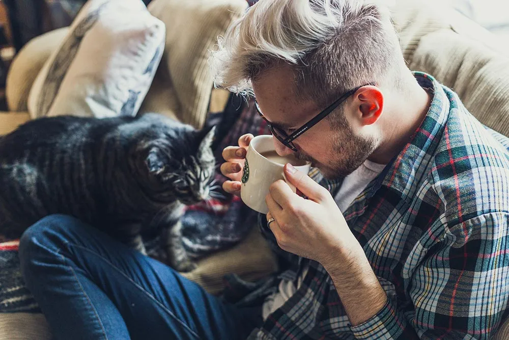 Des maladies pouvant être contracté par un chat