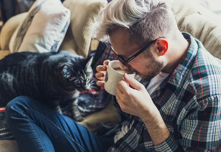 Des maladies pouvant être contracté par un chat