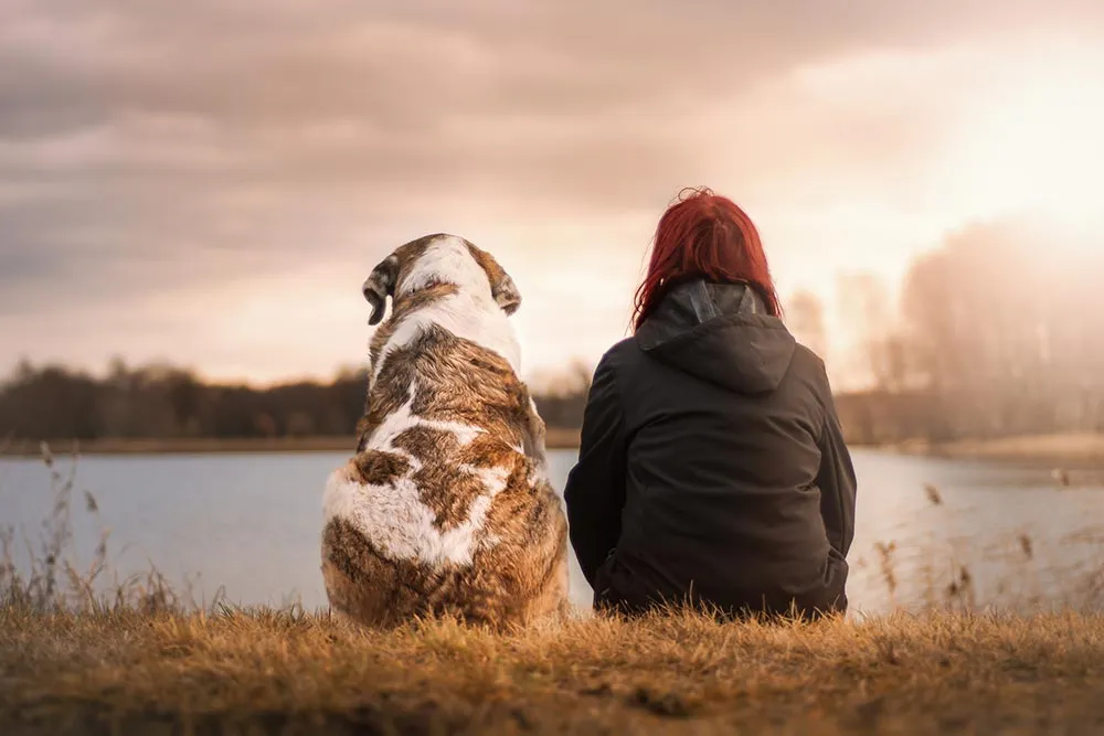 Bons à savoir avant de partir en randonnée avec son chien