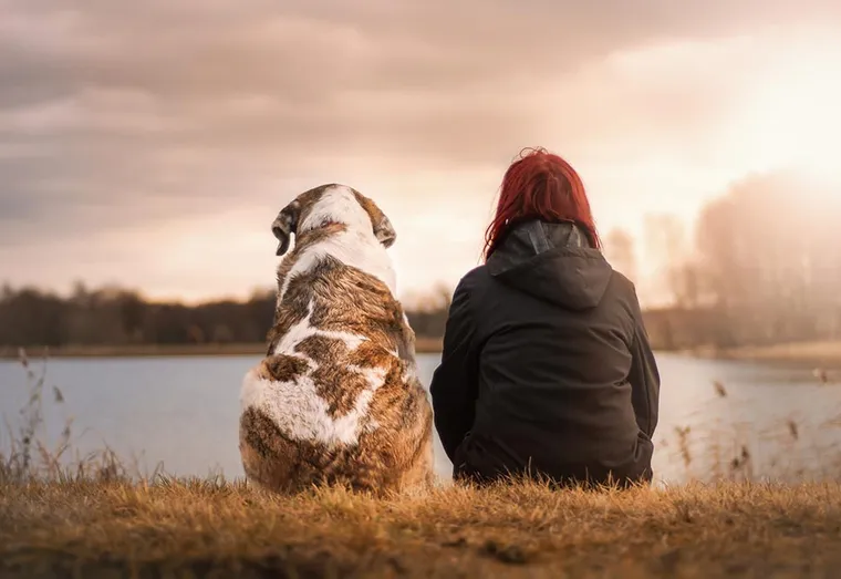 Bons à savoir avant de partir en randonnée avec son chien