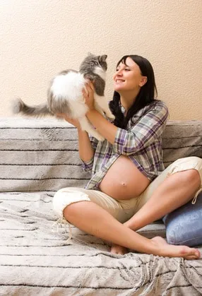 animaux et femme enceinte