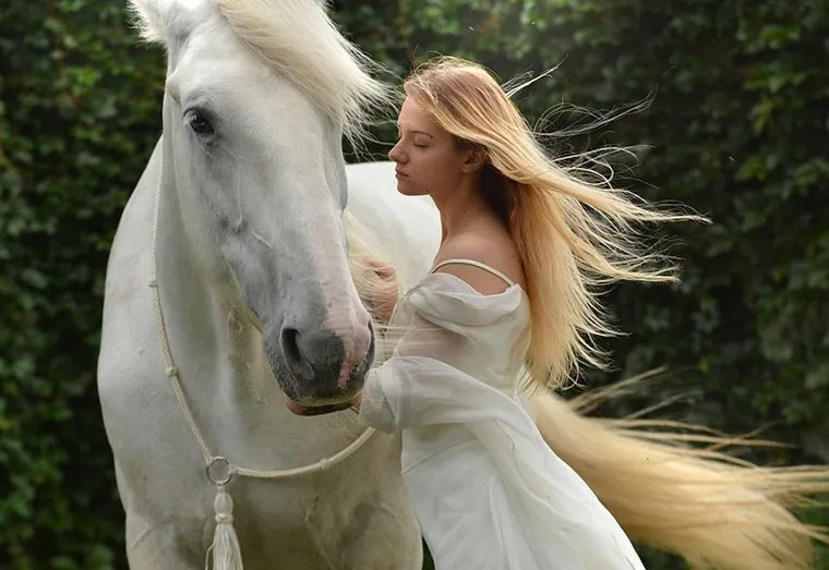 Comment vite créer un lien affectif avec son cheval ?