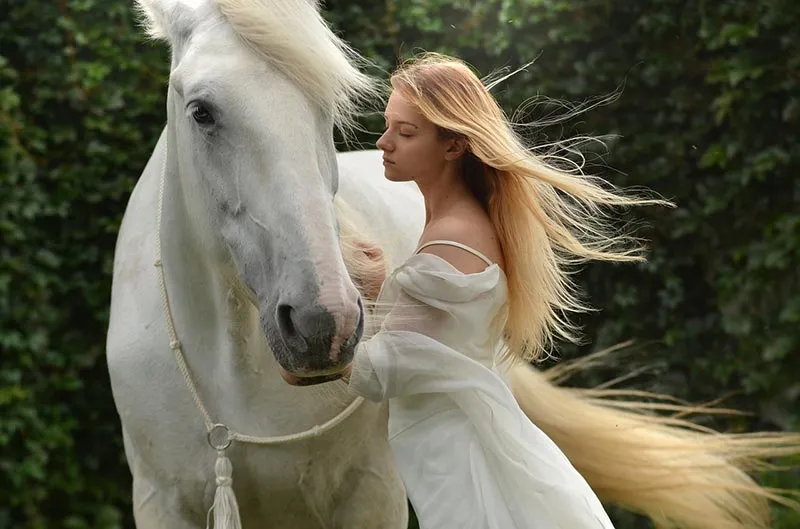 Comment vite créer un lien affectif avec son cheval ?