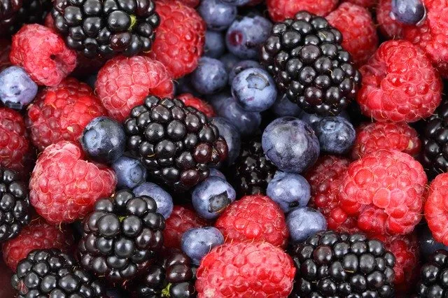 Les fruits toxiques pour les chiens