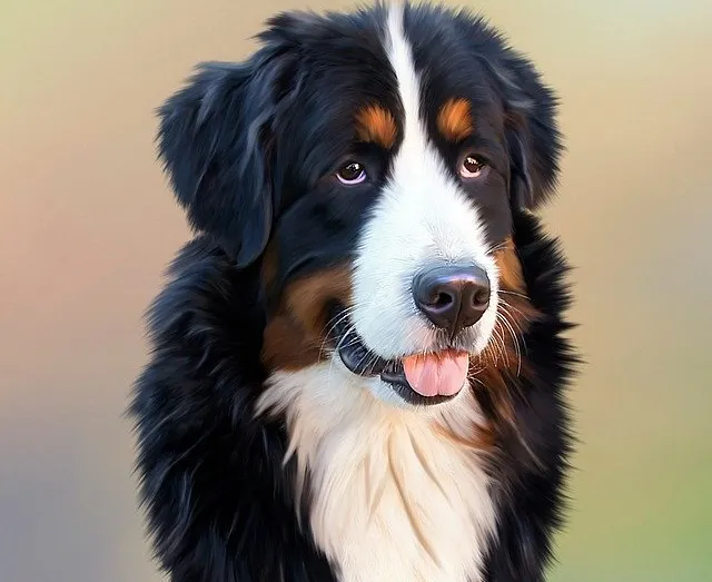Comment corriger les mauvais comportements de votre chien ?