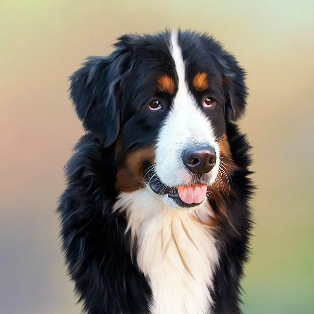 Comment corriger les mauvais comportements de votre chien ?