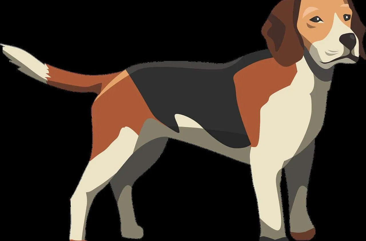 Que faire quand on retrouve un chien en divagation ?