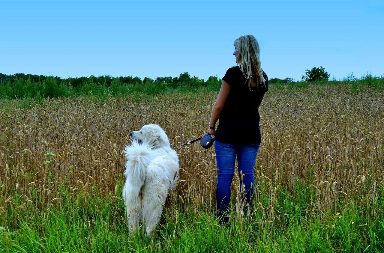 Comment organiser ses sorties avec son chien ?