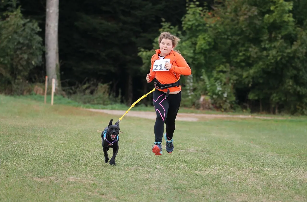 Faire du canicross : comment s’équiper ?