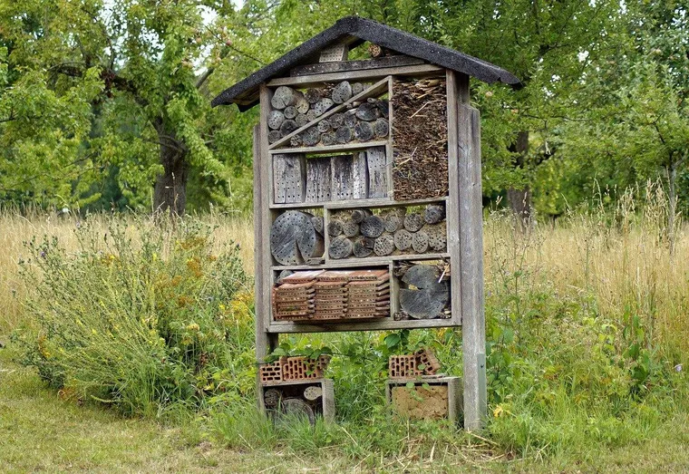 Qu’apporte un hôtel à insectes à votre jardin ?