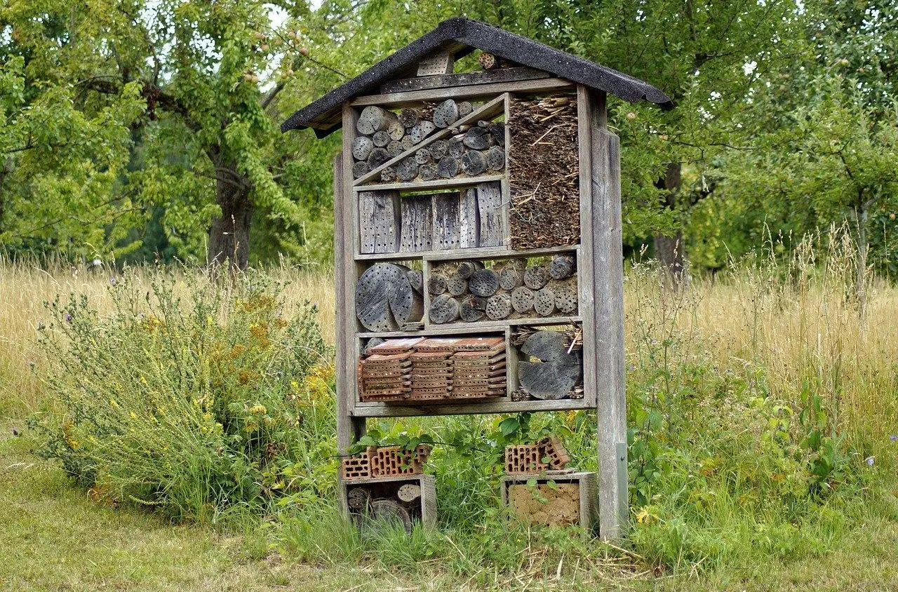 Qu’apporte un hôtel à insectes à votre jardin ?