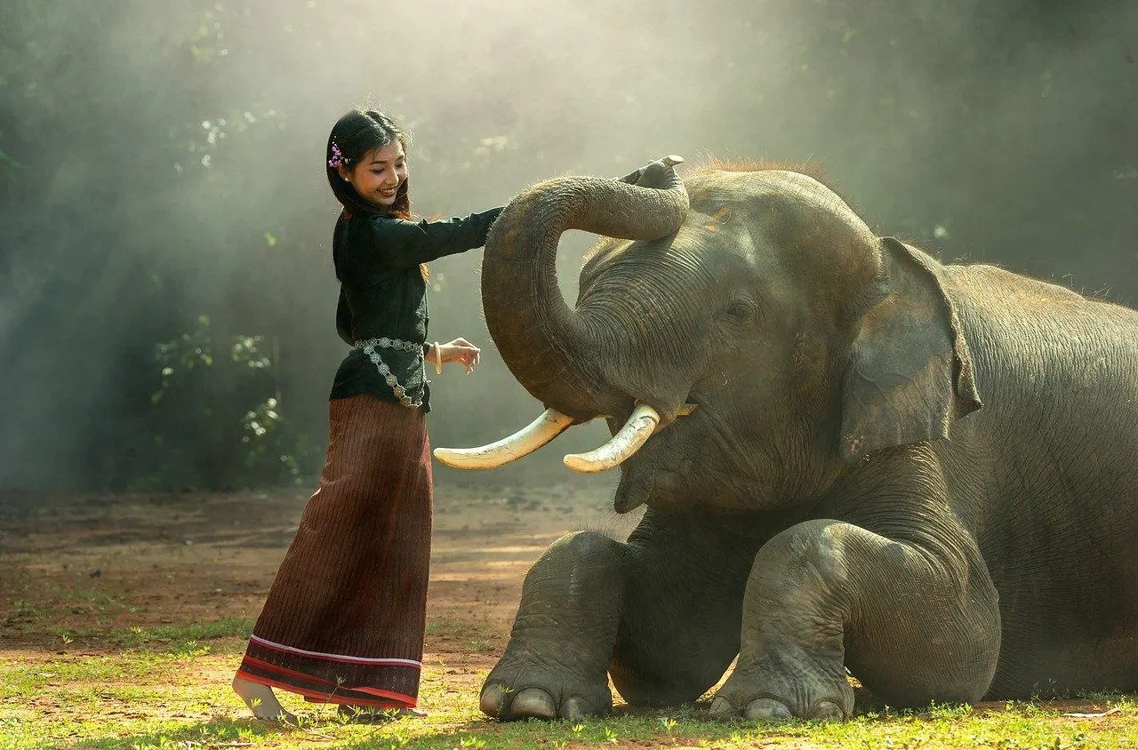 Comment sensibiliser son enfant sur la protection des animaux ?