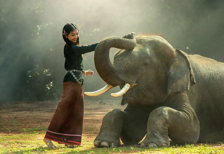 Comment sensibiliser son enfant sur la protection des animaux ?