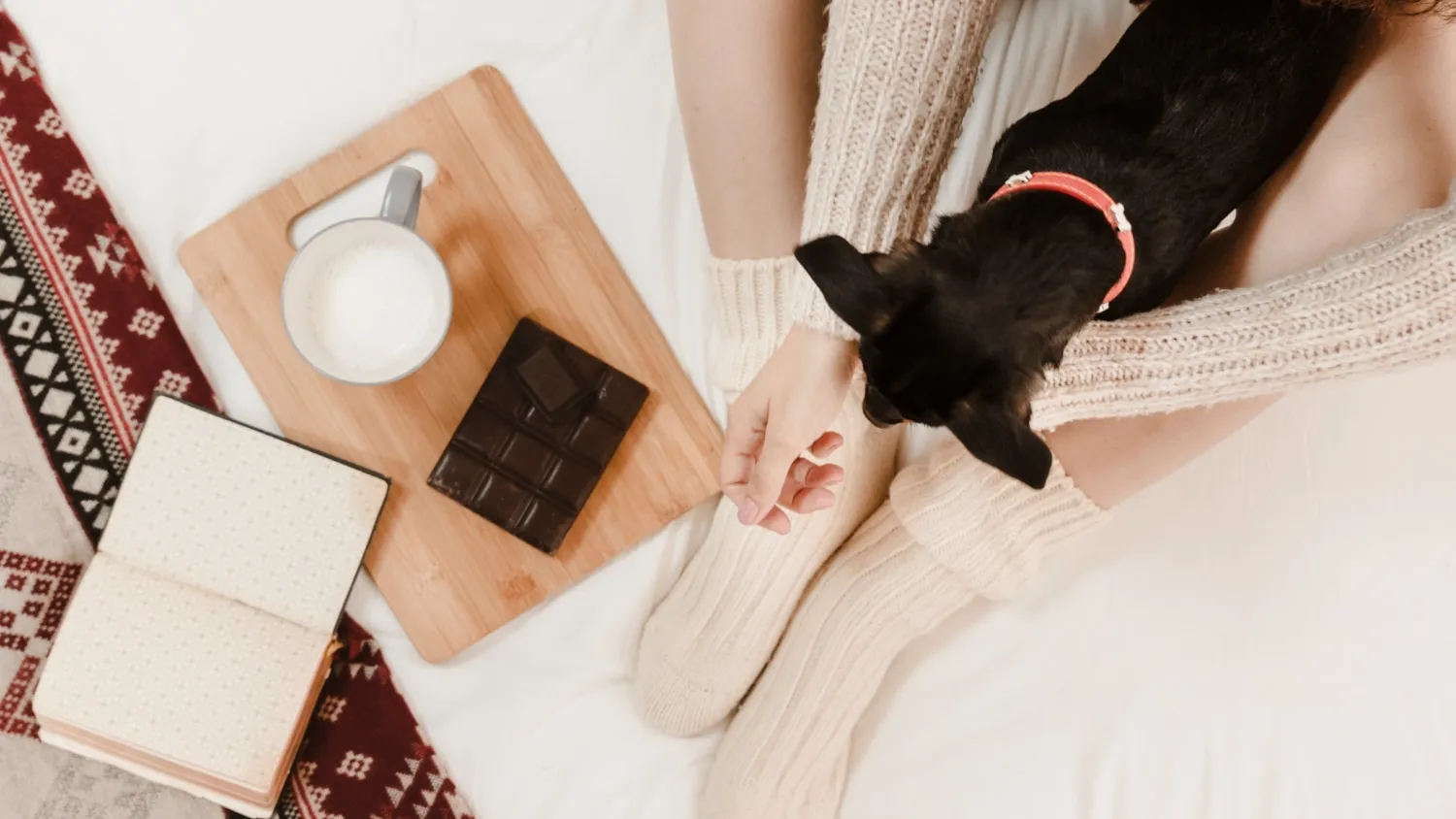 Est-ce que le chocolat est dangereux pour les chiens ?