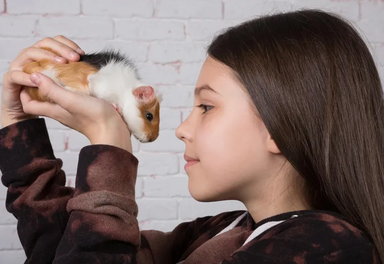 Comment s’occuper d’un hamster ?