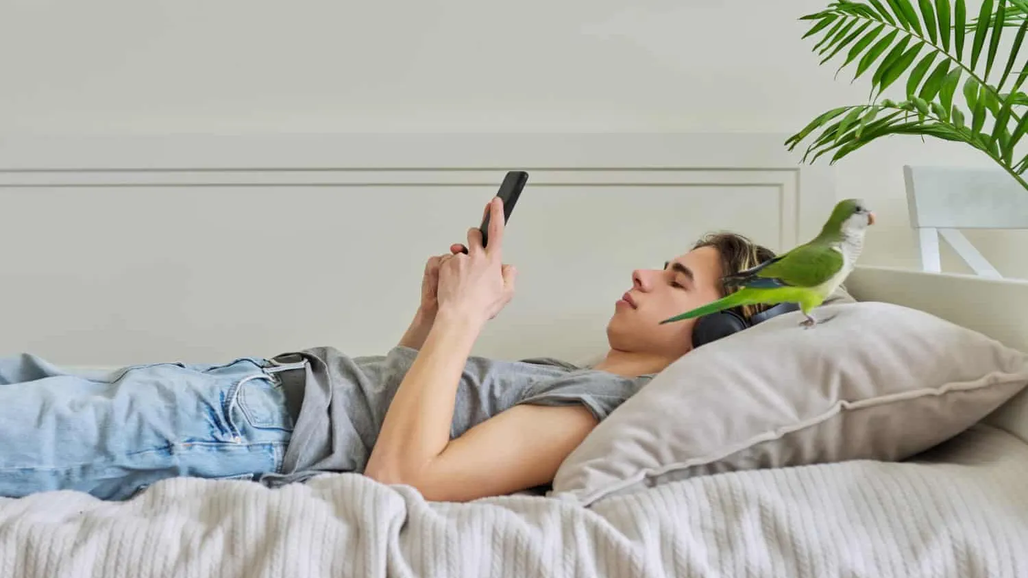 Comment adopter un perroquets, nos conseils