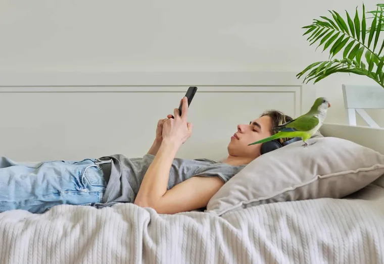 Comment adopter un perroquets, nos conseils