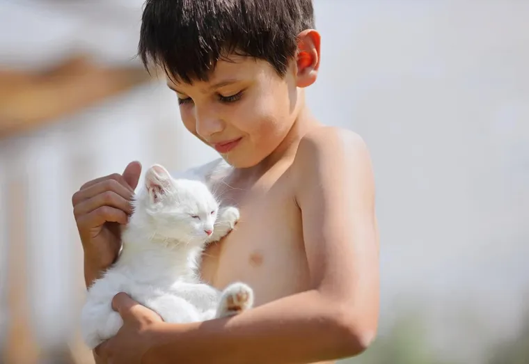 Quels jeux pour un chaton