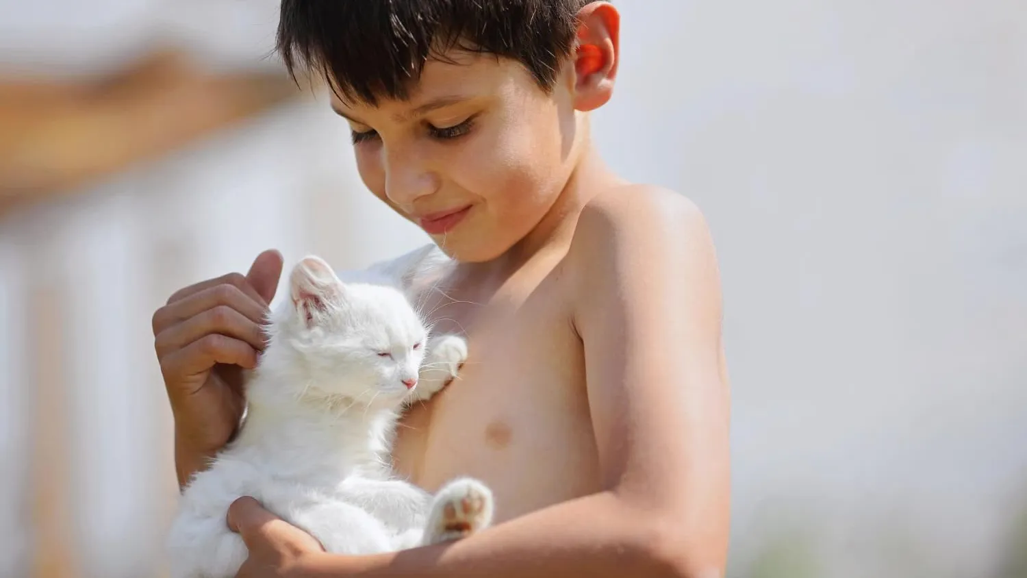 Quels jeux pour un chaton