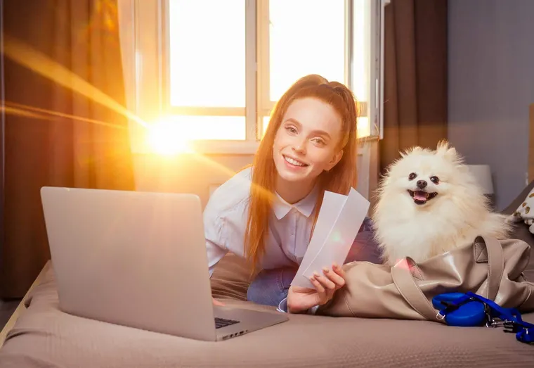 un chien peut il prendre l’avion ?