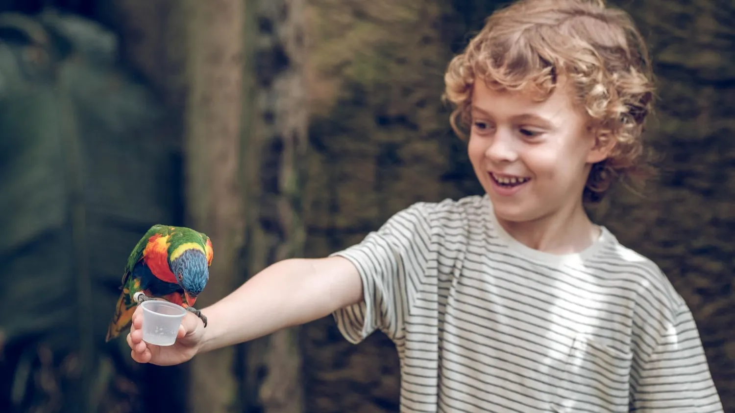 Comment apprendre à votre perroquet à parler