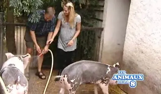 Les animaux de la ferme de Bellevue